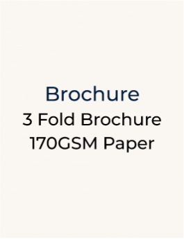 3 Fold Brochure - 170GSM Paper