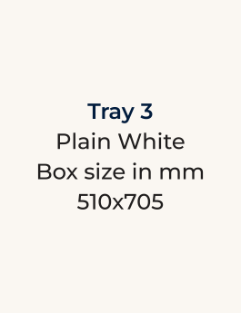 Tray 3 (510 x 705)